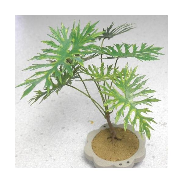 Z[@FaI@fށ@1/12@G-21