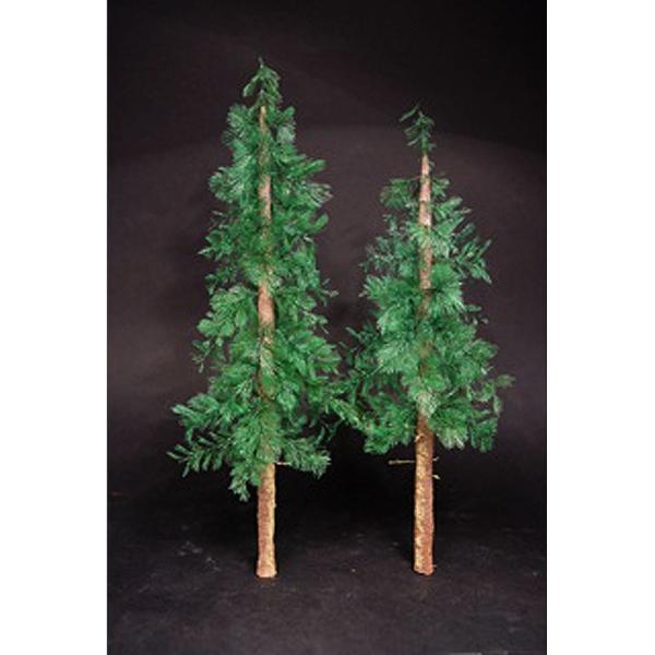 sakatsu_162000018235