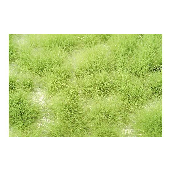 sakatsu_184700727021