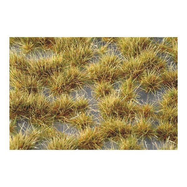 sakatsu_184700737023