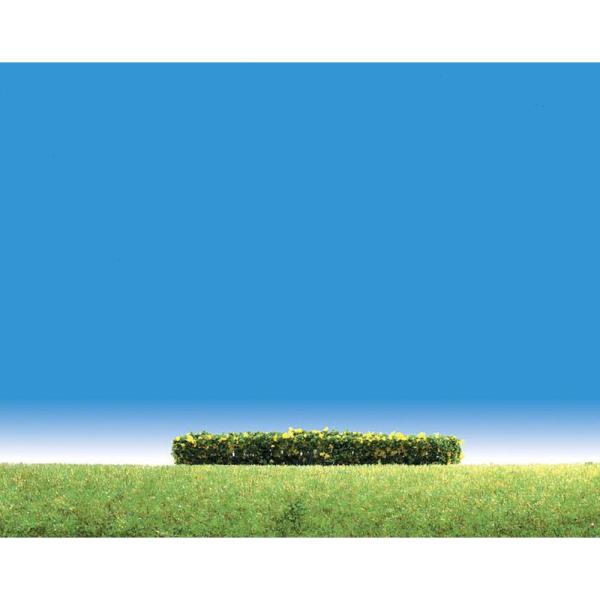 FԂ̐_@Ft@[[@i@mXP[@181399