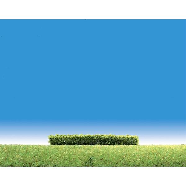 _@ΐFiCgEO[j@Ft@[[@i@mXP[@181398