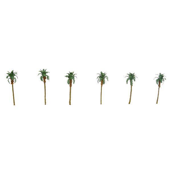 【ヤシの木】 d6e043ffa833aea0358c9d2b4e0ed1