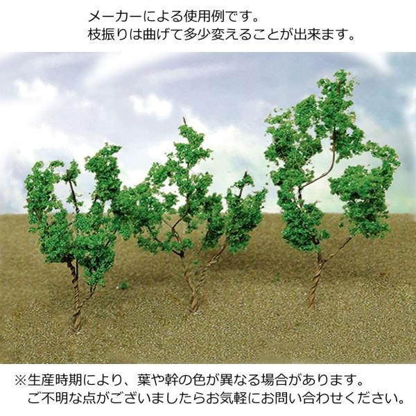 VΎi΁j@3`5cm@60{ȏ@FJTT@i@mXP[@95518