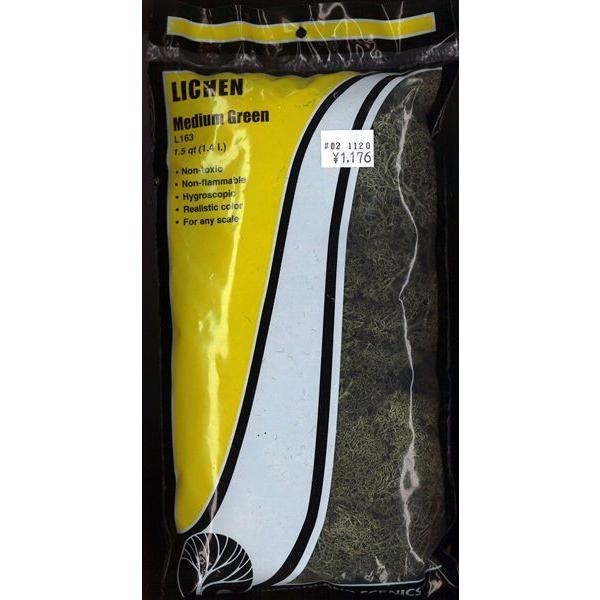 VRf yCPz  ~fBAEO[i΁j@FEbhh@fށ@mXP[@L163