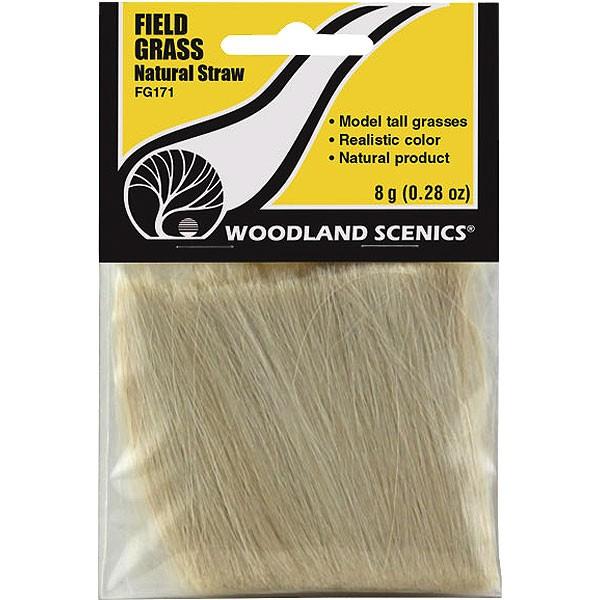 @یnf ytB[hOXz@F@FEbhh@fށ@mXP[@FG171