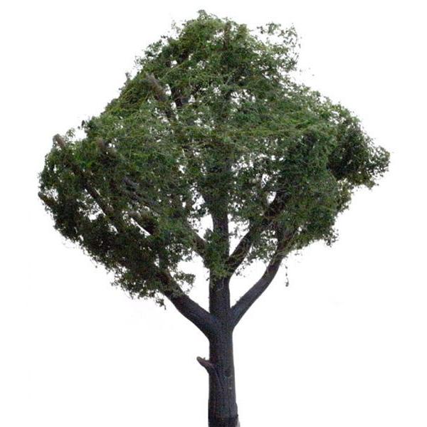 Lt@7.6`10.1cm@3{@FEbhh@i@mXP[@3508