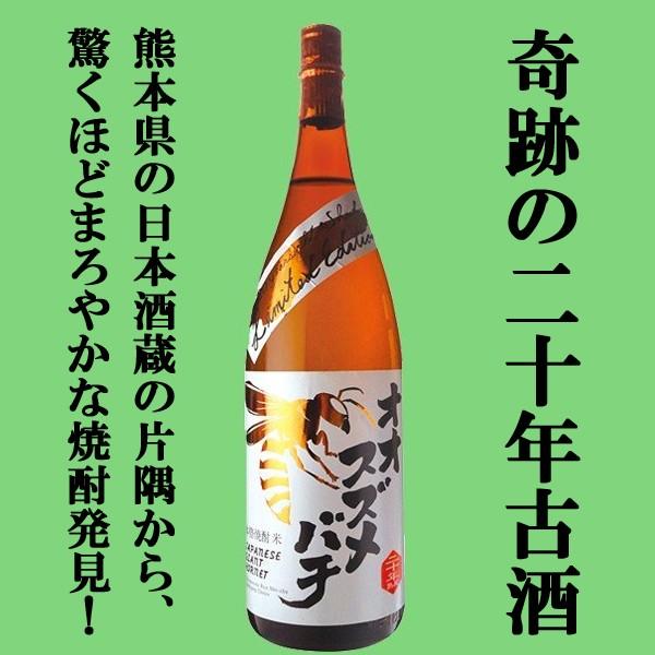 熟成による円やかさが絶品！10年古酒の米焼酎！】 オオスズメバチ 米