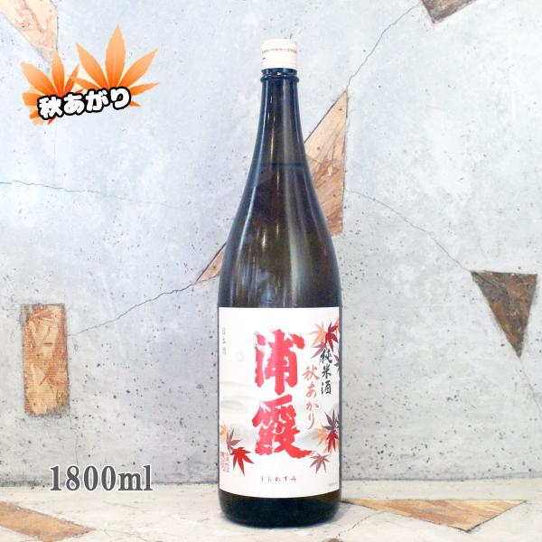 浦霞 日本酒」の人気商品一覧 | 安い商品を通販サイトから探す