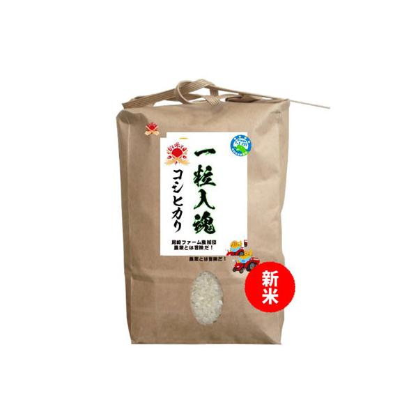 減農薬無化学肥料栽培米・一粒入魂米コシヒカリ　5Kg入り　2025年度産新米　入荷