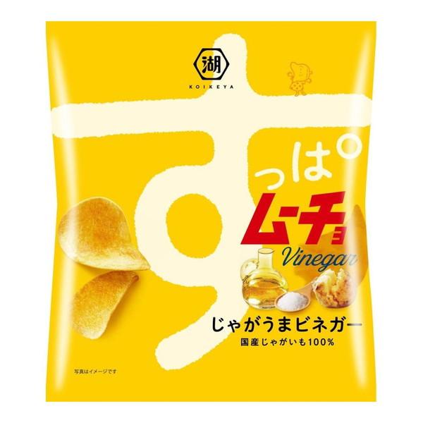 木製 すっぱむ 湖池屋（コイケヤ） すっぱムーチョチップス さっぱりビネガー 55g ×12