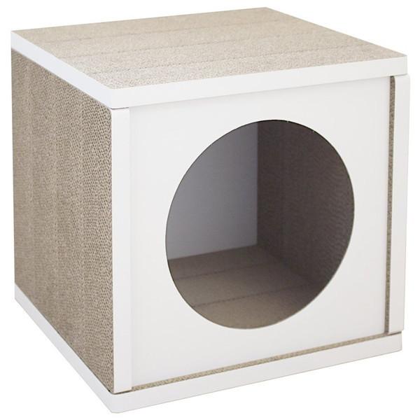 AjLeB LbgnEX zCg Lp nEX