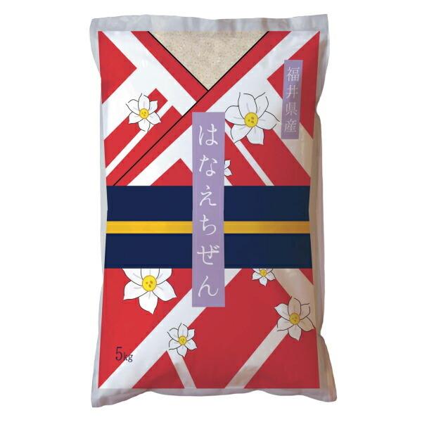 ߘaNxYV 䌧YniG`[ 5kg [J[