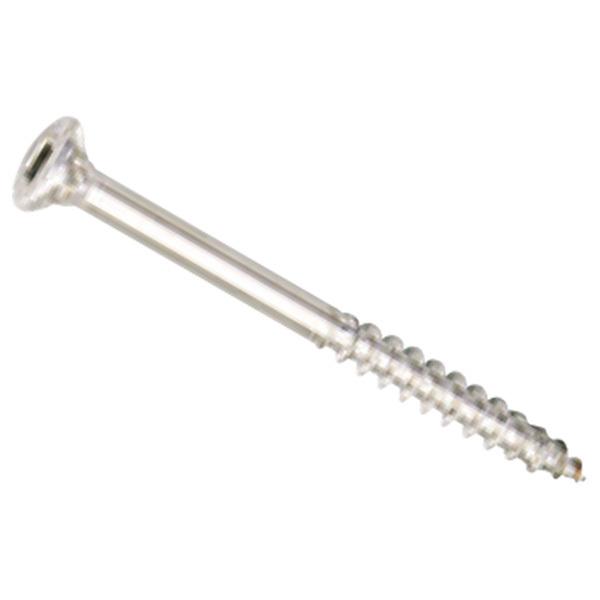 ネジ ボルト ウッドデッキビス ステンレスの人気商品・通販・価格比較