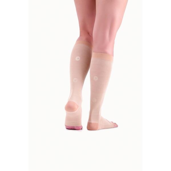 At@bNX AP-432104 ӂ͂pƂ CT|[^[ \bNX MTCY