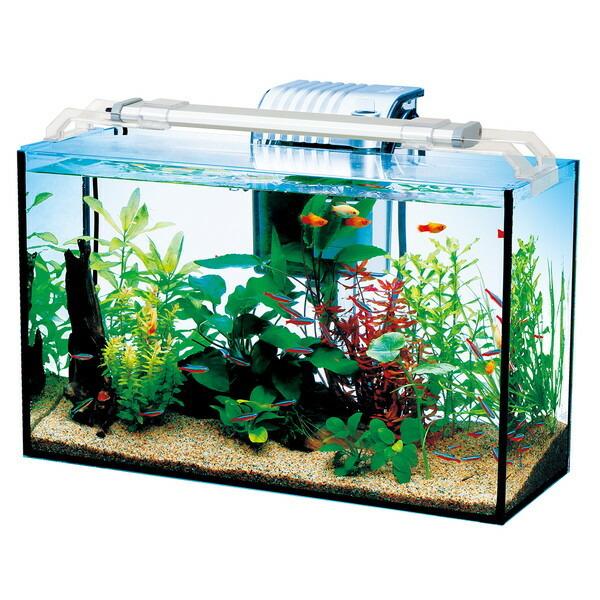 スペクトラムブランズ テトラ オールグラスアクアリウム4 熱帯魚セット 総合通販premoa Yahoo 店 通販 Yahoo ショッピング