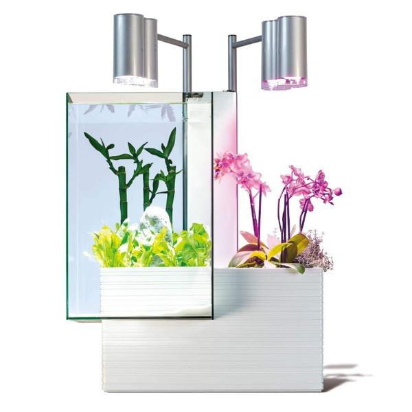 xp[gi[ brio35 60Hzdl (zCg)