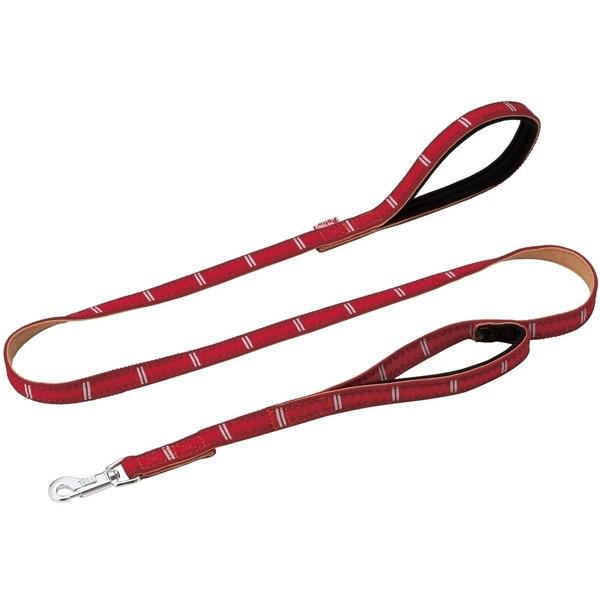 }qT BASIC PLUS oX[h M 