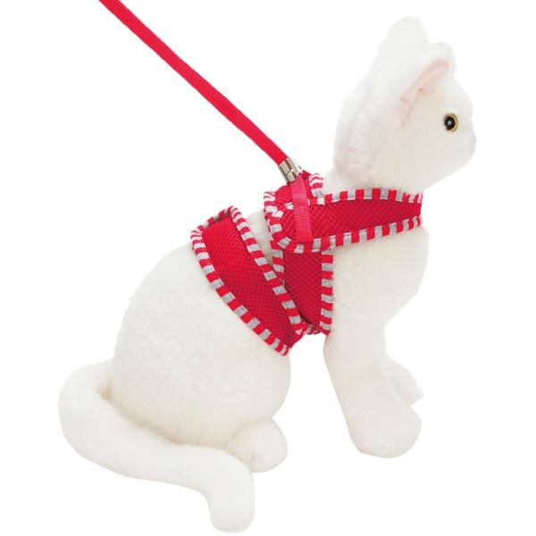 }qT P Anycatn[lXXgCv M bh Lp