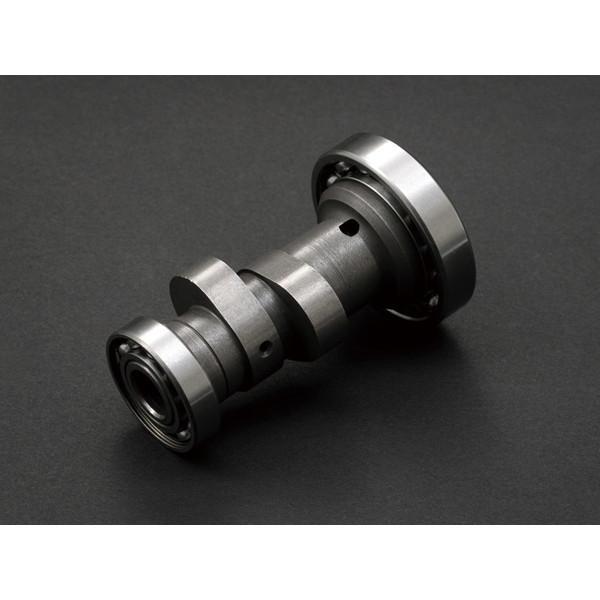 fCgi D70938 DYNAHEADp DRAGJVtg