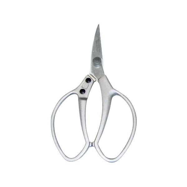  OWL #321 AA~nh 210mm