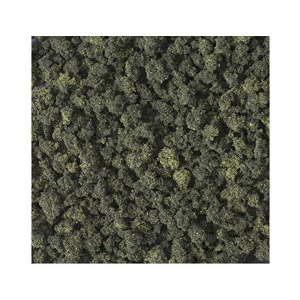 ���[�W�v�����c �t�H���X�g�u�����h 24-546