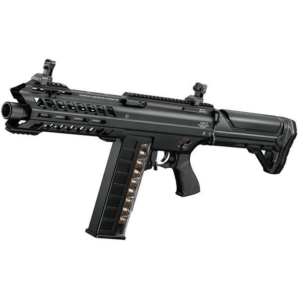 }C SGR-12 No.2 dVbgK(Ώ۔N18ˈȏ)