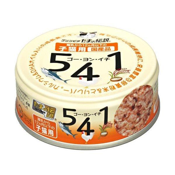 OmHi ܂̓` 541 qLp 70g Lpt[h