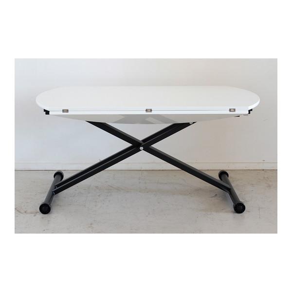 ~e[u teBOe[u ԗ֕t zCg Vv  l炵 V [J[