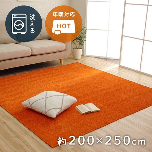 イケヒコ・コーポレーション 1292340206502 ラグ 洗える 無地カラー