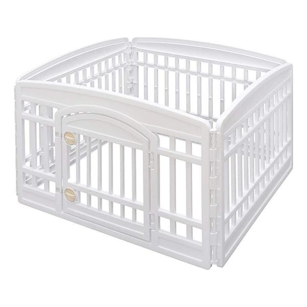 ACXI[} CI-604E W/D zCg/x[W ybgT[N gi [J[