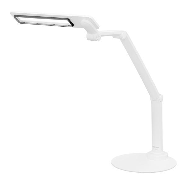 ACXI[} LDL-701-W zCg LEDfXNCg(F/u^) [g[N ݑ e[N ItBX [J[