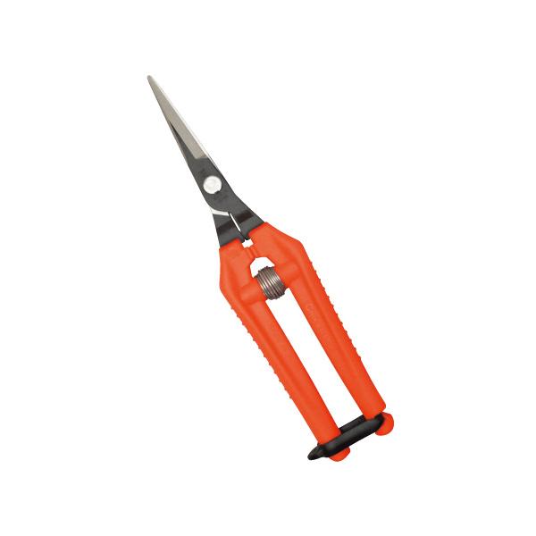 ߐ ߐ TP-530 EgCg |p͂