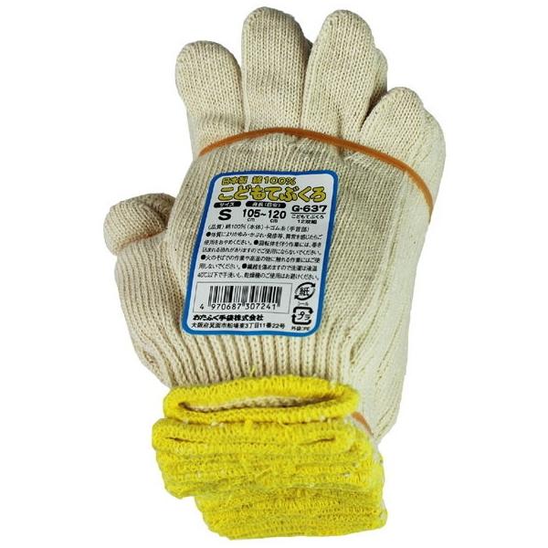 I^tN G-637 ǂĂԂ 12og S