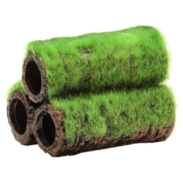 WFbNX GEX Șa̒ y S Ϗ܋pi