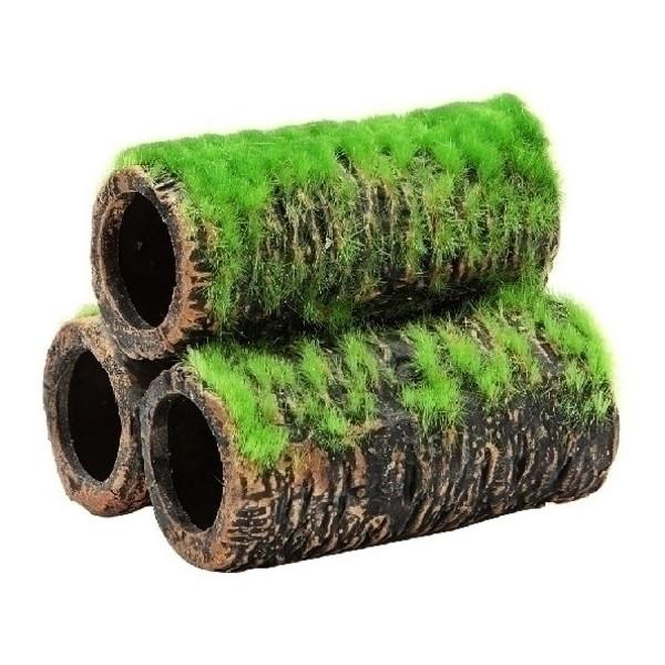 WFbNX GEX Șa̒ y M Ϗ܋pi