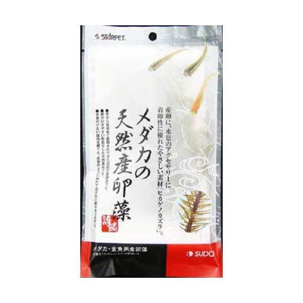 Xh[ Xh[ _J̓VRY Ϗ܋pi