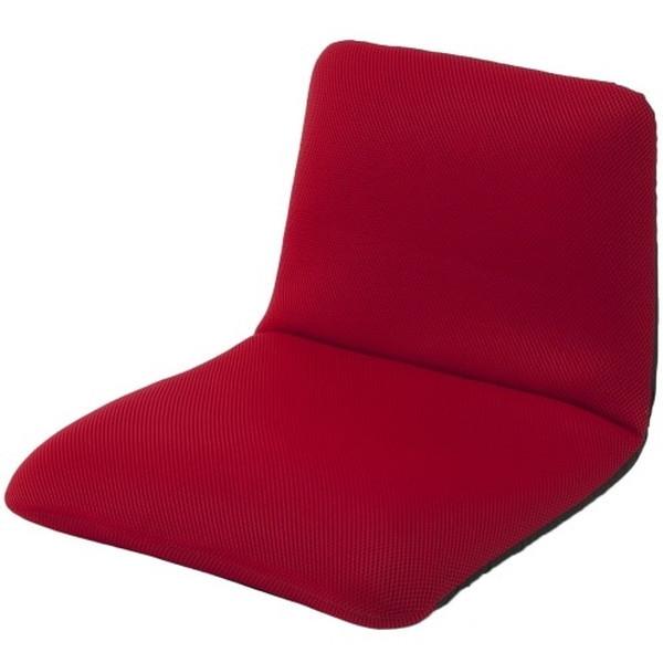 CELLUTANE ֎q [`FAS _ubZbh NCjO ܂ RpNg e[N { A455a-504RE [J[