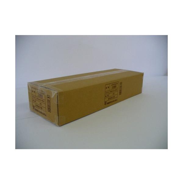 1318-IJPR-5945N 唻CNWFbgv^pʎ ㎿ 2{