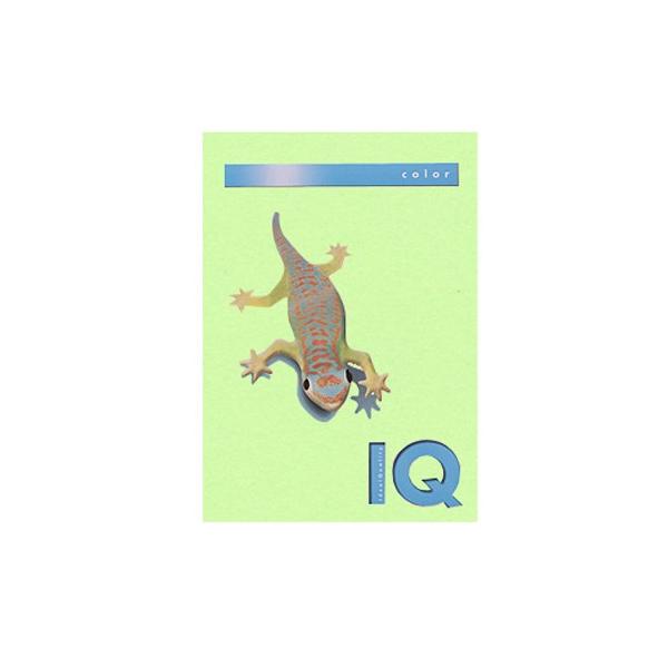 1318-BT706 oCIgbvJ[PPC A4 ~fBAO[