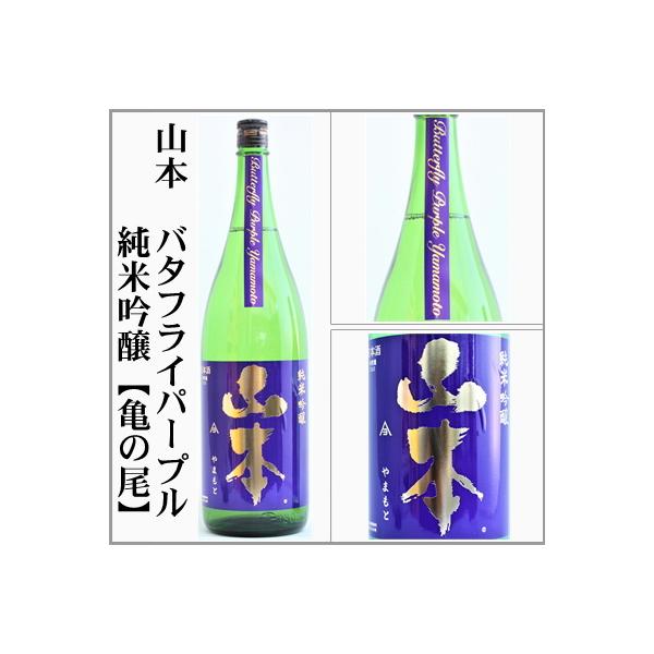 R{@o^tCp[v@ċyT̔z1.8L@[HcR{S]