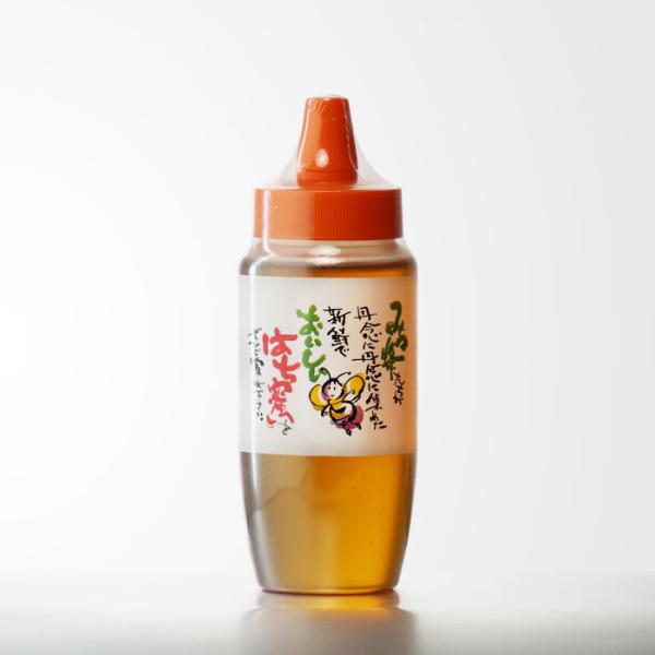 送料別 おいしいはち蜜（はちみつ加工品） 八女養蜂場 500グラム 蜂蜜 福岡県 御中元