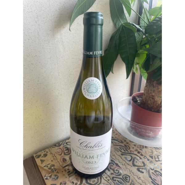 シャブリ　2023年　3本セット ウィリアムフェーブル他 ウィリアムフェーブル シャブリ 750ml 白ワイン 2023 chablis