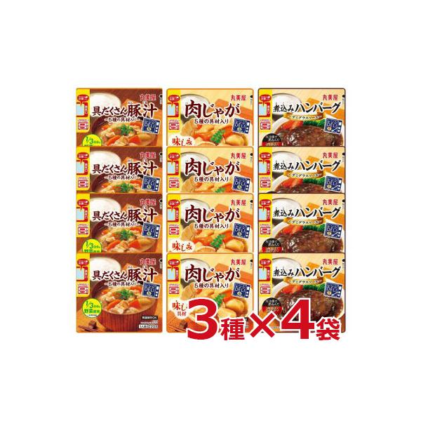 丸美屋 レンジDELI ハンバーグ 豚汁 肉じゃが 3種×4袋セット ケース販売 レトルト食品 おかず