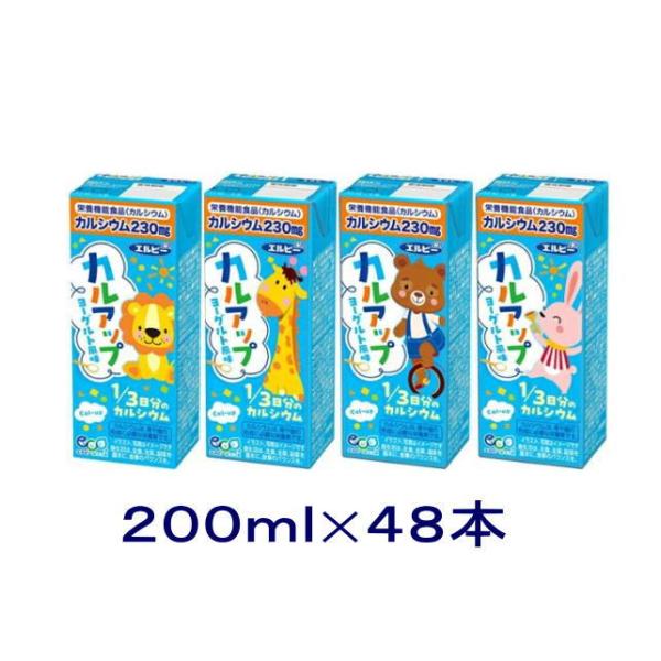 ［飲料］送料無料※２ケースセット　エルビー　カルアップ（２４本＋２４本）２００ｍｌパックセット（４８本セット）（200ml 250 カルシウム 紙パック）
