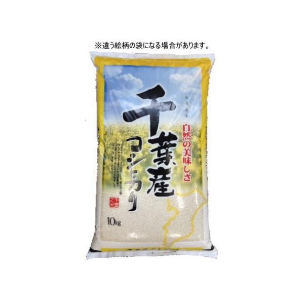 食品］3袋まで同梱可能 令和7年 千葉県産 コシヒカリ 【白米
