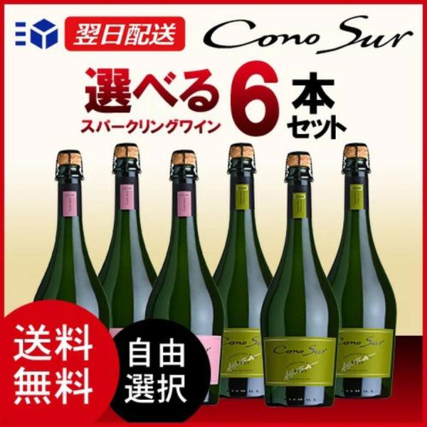 ワインセット コノスル スパークリング ブリュット ロゼ チリ 750ml 6本セット 送料無料 選べるセット 一部地域送料無料 爆買