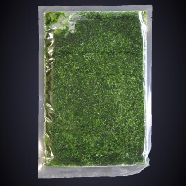 冷凍あおさのり ヒトエグサ アーサー 500ｇ X１袋 愛知県産