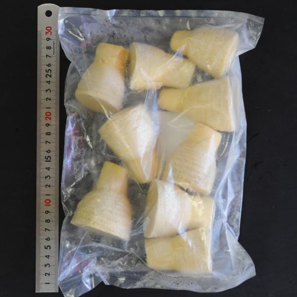 《商品説明》冬筍の冷凍・穂付筍です。冬筍は12月〜3月に地中深くから掘り出した筍です。春筍（3月以降収穫）との違いは、生長が進んでいないため柔らかい。身詰りが良い。食感が良い事です。ほんのり甘く、香りも濃厚です。区別して高級食材として重宝さ...