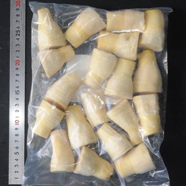 《商品説明》冬筍の冷凍・穂付筍です。冬筍は12月〜3月に地中深くから掘り出した筍です。春筍（3月以降収穫）との違いは、生長が進んでいないため柔らかい。身詰りが良い。食感が良い事です。ほんのり甘く、香りも濃厚です。区別して高級食材として重宝さ...